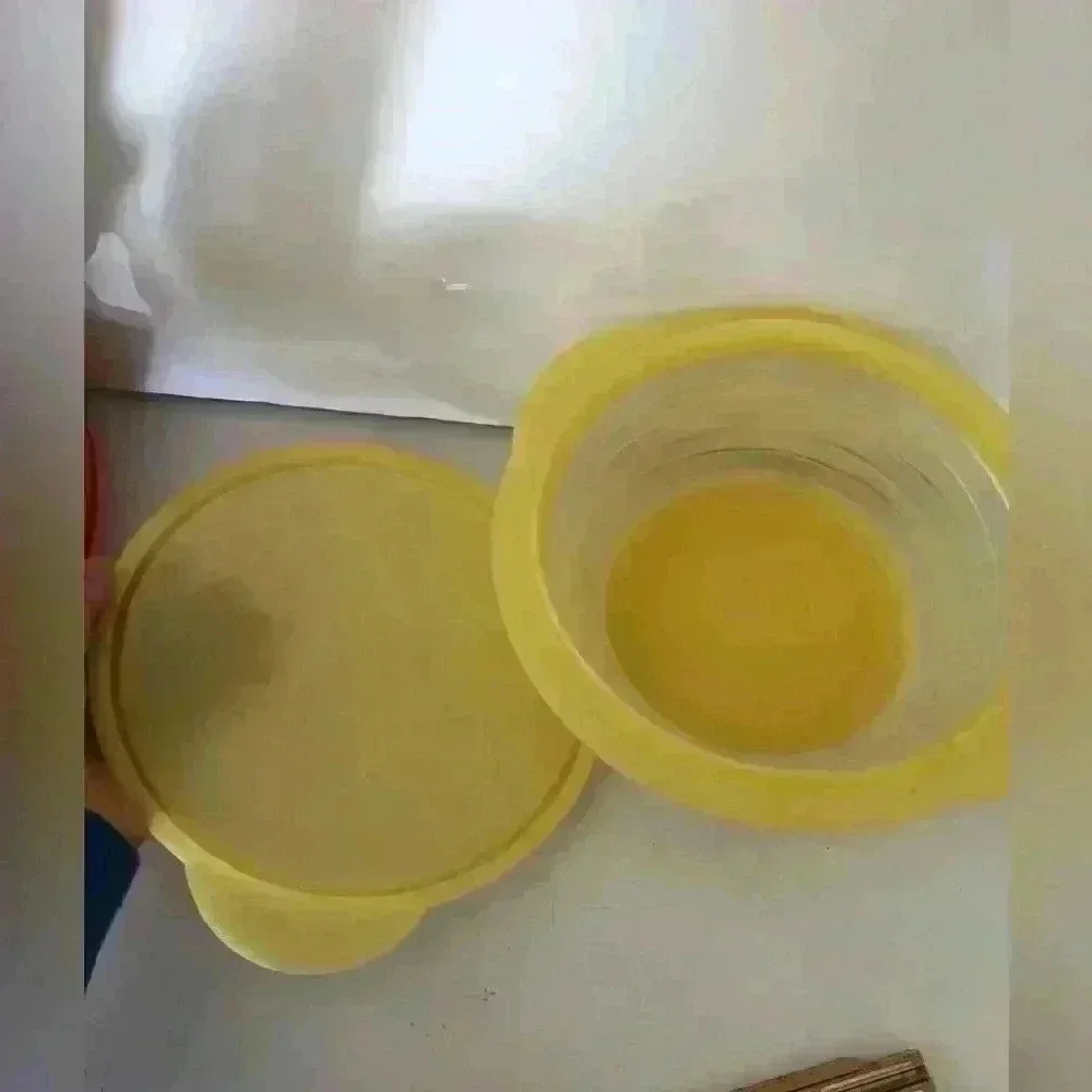 VTG TUPPERWARE YELLOW 4 CUP FLAT OUT COLLAPSIBLE BOWL WITH LID